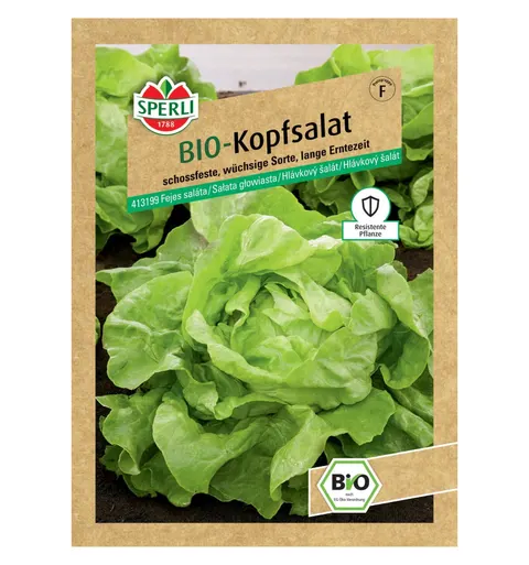 BIO sałata głowiasta 'Suzan' Nasiona PREMIUM Sperli