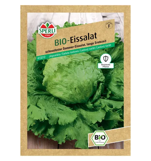 BIO Sałata lodowa 'Saladin' Nasiona PREMIUM Sperli