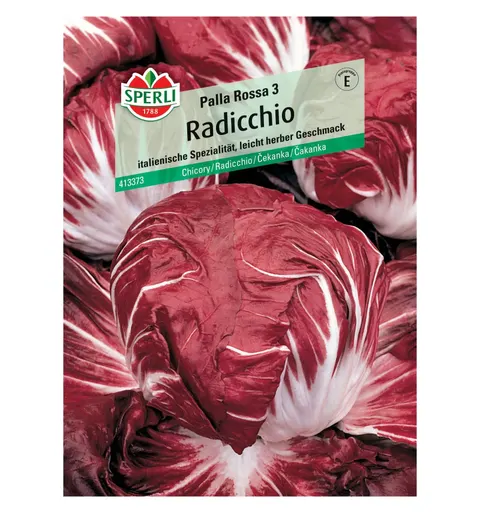 Radicchio 'Palla Rossa 3' Nasiona PREMIUM Sperli