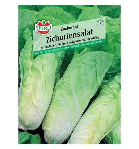 Cykoria sałatowa 'Zuckerhut' Nasiona PREMIUM Sperli