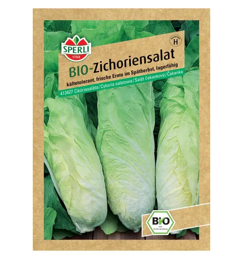 BIO cykoria sałatowa 'Zuckerhut' Nasiona PREMIUM Sperli