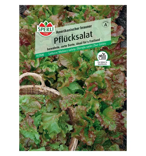 Wybierz sałatę 'Amerikanischer brauner' Nasiona PREMIUM Sperli