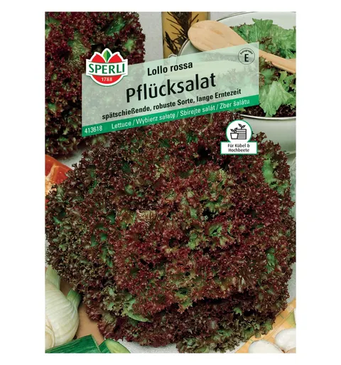 Wybierz sałatę 'Lollo rossa' Nasiona PREMIUM Sperli