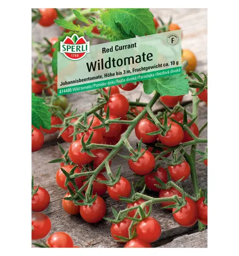 Pomidor dziki 'Red Currant' Nasiona PREMIUM Sperli