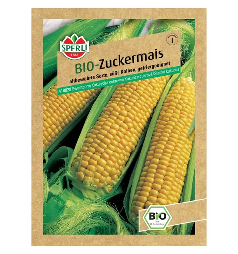 BIO Kukurydza cukrowa 'Golden Bantam' Nasiona PREMIUM Sperli