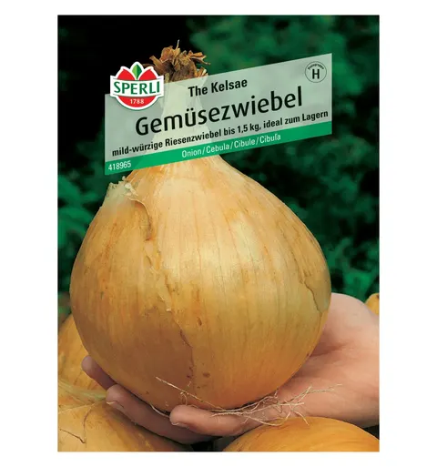 Cebula 'The Kelsae' Nasiona PREMIUM Sperli