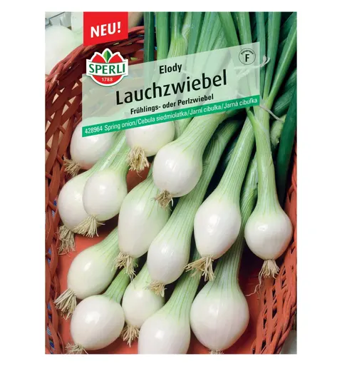 Cebula siedmiolatka 'Elody' Nasiona PREMIUM Sperli
