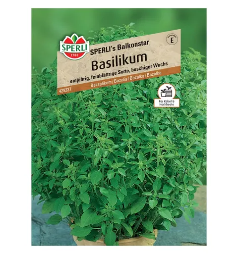 Bazylia 'SPERLI's Balkonstar' Nasiona PREMIUM Sperli