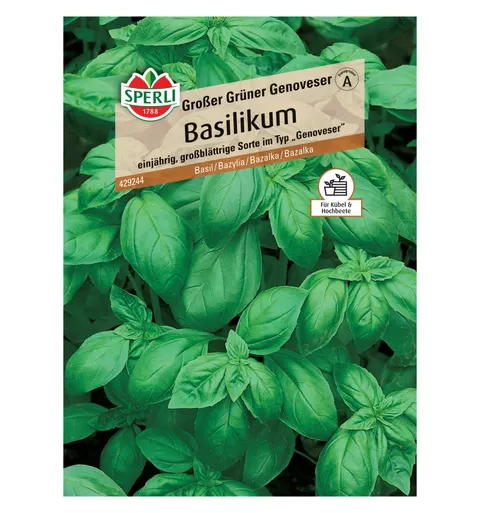 Bazylia 'Großer Grüner Genoveser' Nasiona PREMIUM Sperli