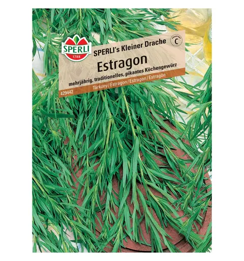 Estragon 'SPERLI's Kleiner Drache' Nasiona PREMIUM Sperli