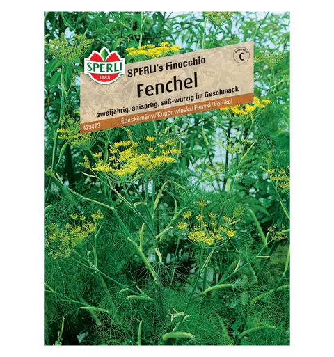 Koper włoski 'SPERLI's Finocchio' Nasiona PREMIUM Sperli