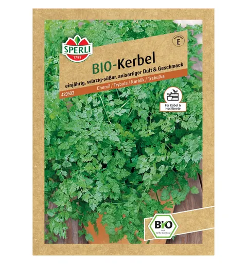 BIO trybula 'Fijne Krul' Nasiona PREMIUM Sperli