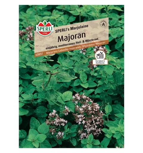 Lebiodka majeranek 'SPERLI's Marjolaine' Nasiona PREMIUM Sperli