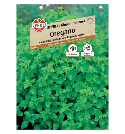 Oregano 'SPERLI's Kleiner Italiener' Nasiona PREMIUM Sperli