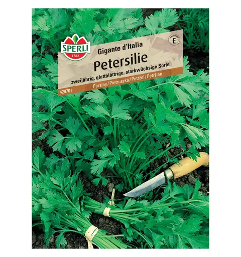 Pietruszka 'Gigante d'Italia' Nasiona PREMIUM Sperli