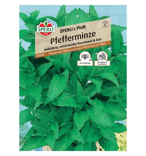 Mięta pieprzowa 'SPERLI's Pfeffi' Nasiona PREMIUM Sperli