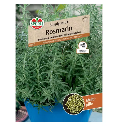 Rozmaryn 'SimplyHerbs' Nasiona PREMIUM Sperli