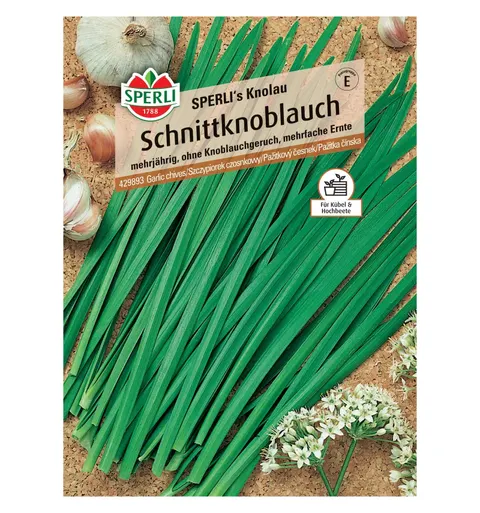 Szczypiorek czosnkowy 'SPERLI's Knolau' Nasiona PREMIUM Sperli