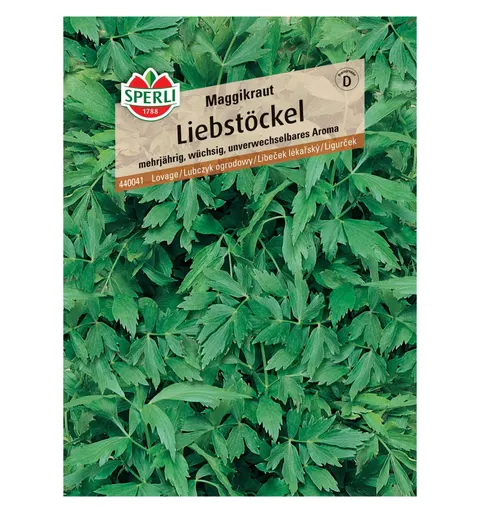 Lubczyk ogrodowy 'Maggikraut' Nasiona PREMIUM Sperli