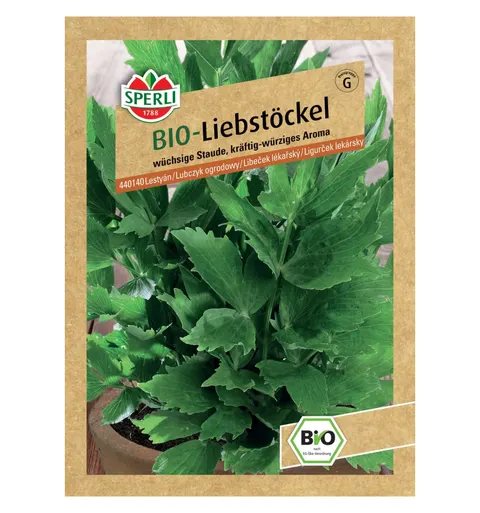 BIO lubczyk ogrodowy 'Maggikraut' Nasiona PREMIUM Sperli