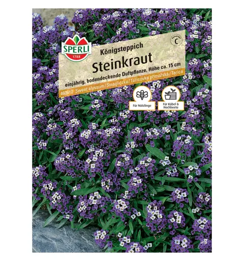 Smagliczka 'Königsteppich' Nasiona PREMIUM Sperli