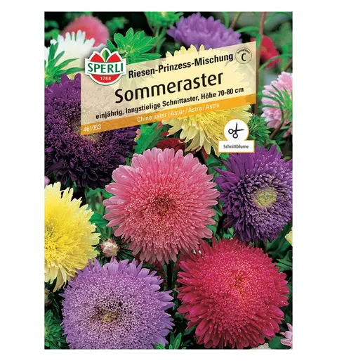 Aster 'Riesen-Prinzess-Mischung' Nasiona PREMIUM Sperli