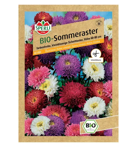 BIO aster chiński 'Zuckertüten Mix' Nasiona PREMIUM Sperli