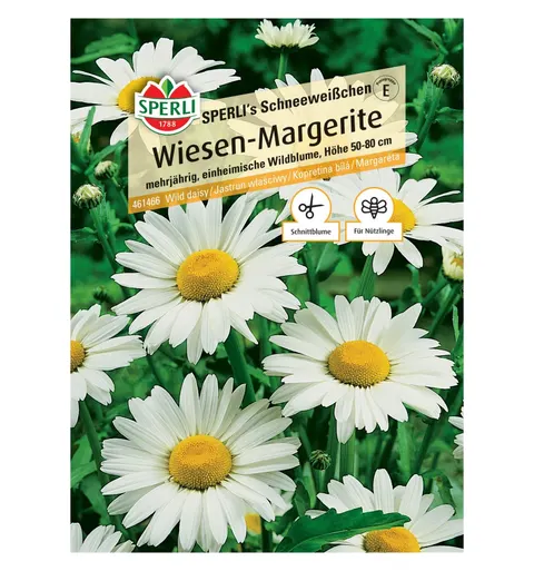 Jastrun właściwy 'SPERLI's Schneeweißchen' Nasiona PREMIUM Sperli