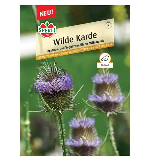 Szczeć pospolita 'Wilde Karde' Nasiona PREMIUM Sperli