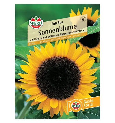 Słonecznik 'Full Sun' Nasiona PREMIUM Sperli