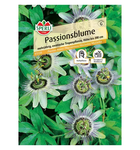 Męczennica '' Nasiona PREMIUM Sperli