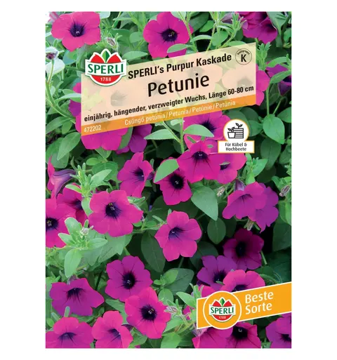Petunia 'SPERLI's Purpur Kaskade' Nasiona PREMIUM Sperli