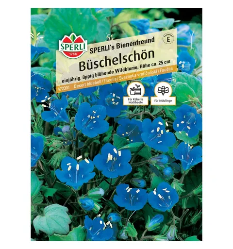 Facelia 'SPERLI's Bienenfreund' Nasiona PREMIUM Sperli