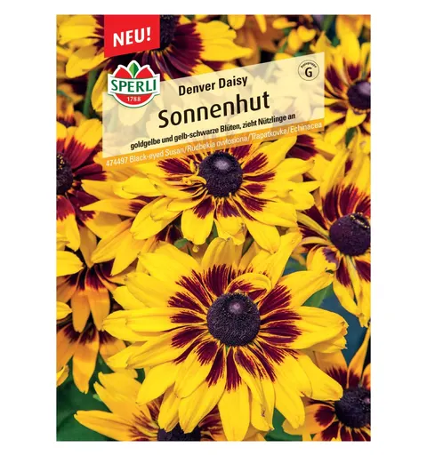 Rudbekia owłosiona 'Denver Daisy' Nasiona PREMIUM Sperli