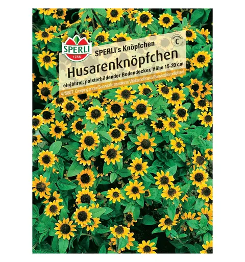 Sanwitalia rozesłana 'SPERLI's Knöpfchen' Nasiona PREMIUM Sperli