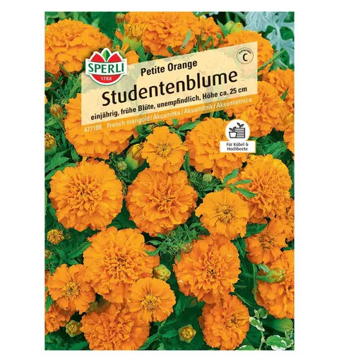 Aksamitka 'Petite Orange' Nasiona PREMIUM Sperli