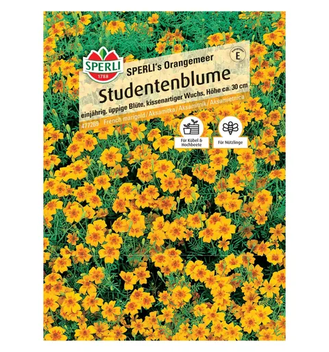 Aksamitka 'SPERLI's Orangemeer' Nasiona PREMIUM Sperli