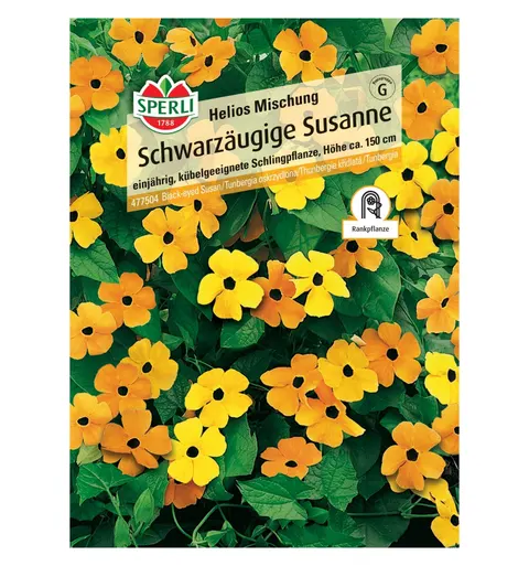 Tunbergia oskrzydlona 'Helios Mischung' Nasiona PREMIUM Sperli