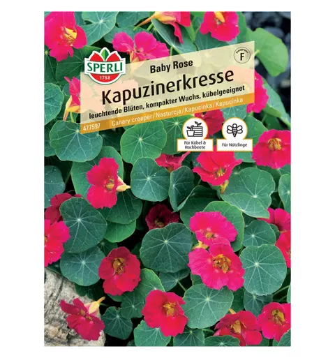 Nasturcja 'Baby Rose' Nasiona PREMIUM Sperli