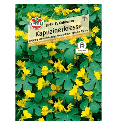 Nasturcja 'SPERLI's Goldranke' Nasiona PREMIUM Sperli