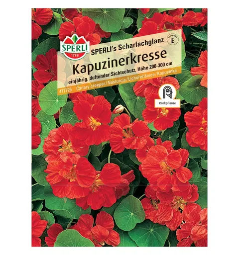 Nasturcja 'SPERLI's Scharlachglanz' Nasiona PREMIUM Sperli