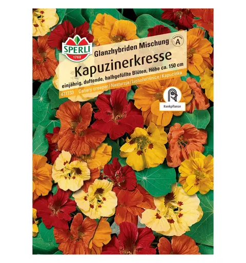 Nasturcja 'Glanzhybriden Mischung' Nasiona PREMIUM Sperli