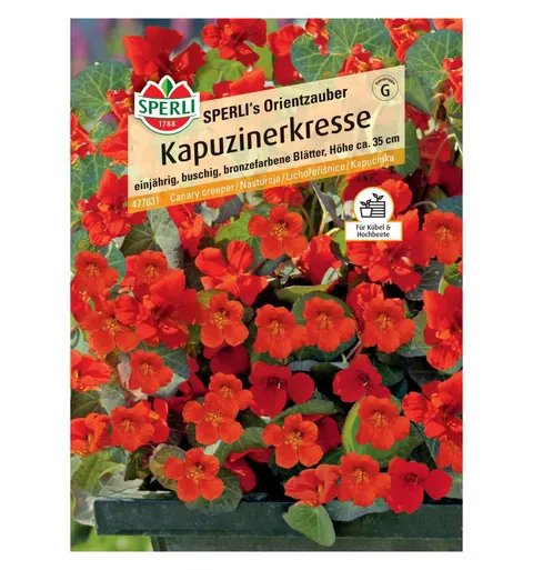 Nasturcja 'SPERLI's Orientzauber' Nasiona PREMIUM Sperli