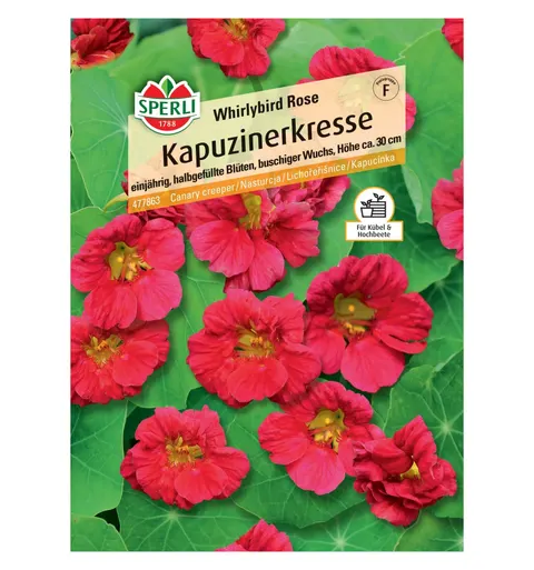 Nasturcja 'Whirlybird Rose' Nasiona PREMIUM Sperli