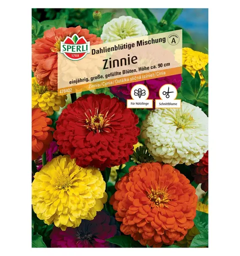 Cynia 'Dahlienblütige Mischung' Nasiona PREMIUM Sperli