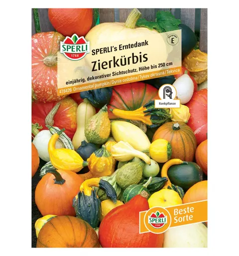 Dynia ozdobna 'SPERLI's Erntedank' Nasiona PREMIUM Sperli