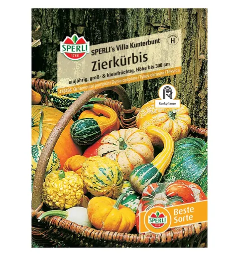 Dynia ozdobna 'SPERLI's Villa Kunterbunt' Nasiona PREMIUM Sperli