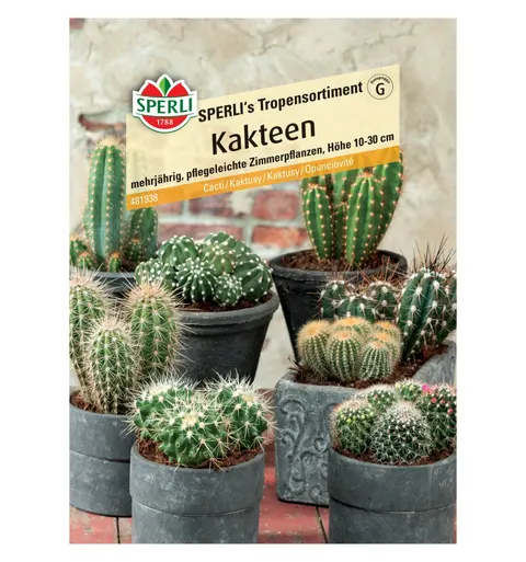 Kaktusy 'SPERLI's Tropensortiment' Nasiona PREMIUM Sperli