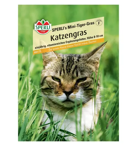 Kocia trawa 'SPERLI's Mini-Tiger-Gras' Nasiona PREMIUM Sperli