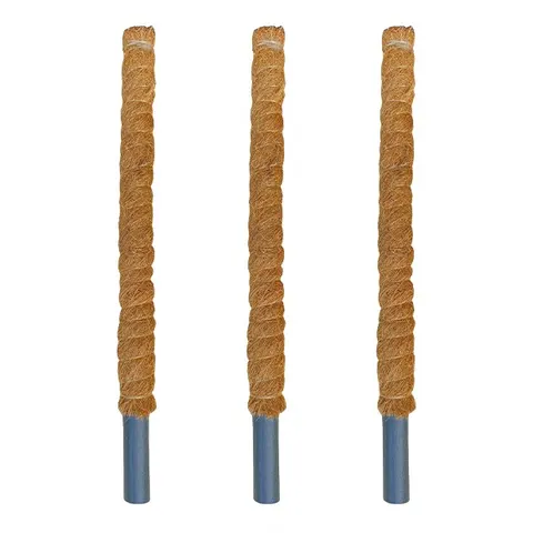 Zestaw Palik kokosowy 100cmx32mm 3 szt